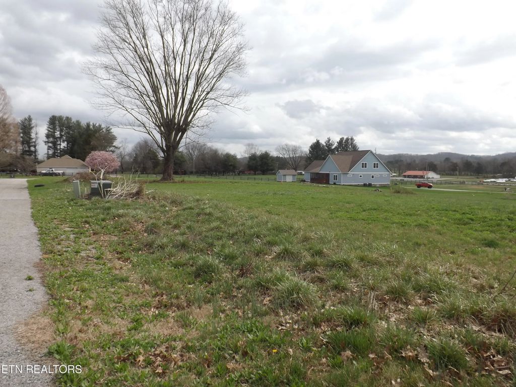 132 Auggie Belle Lane, Speedwell