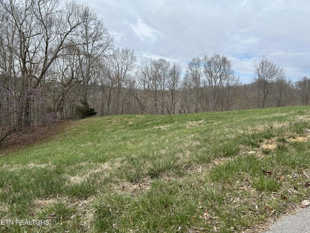 Lot 260-b Marble Point Way, New Tazewell