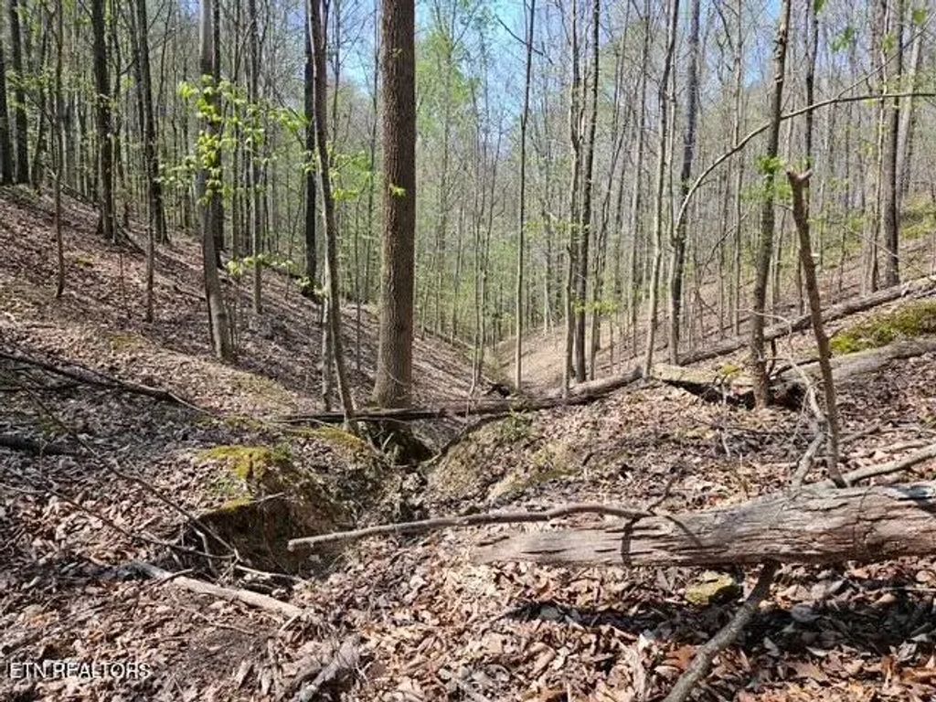 5 Acres Benton Tidwell Rd, Hilham