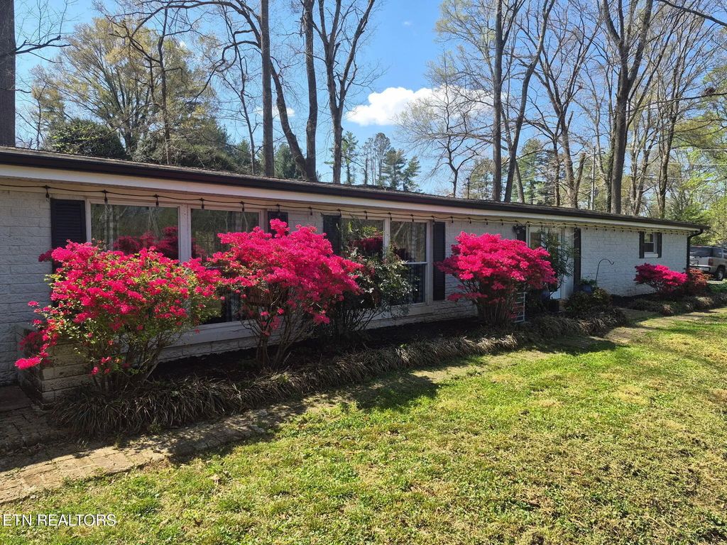 507 Short St, Athens