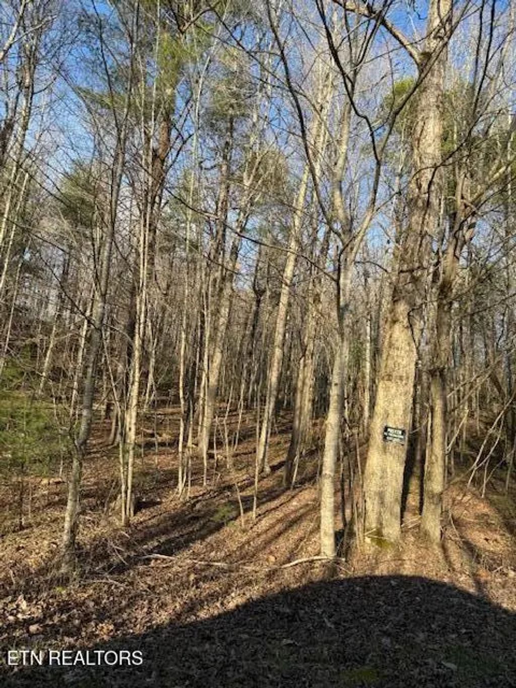 Bear Hollow Rd, Oneida