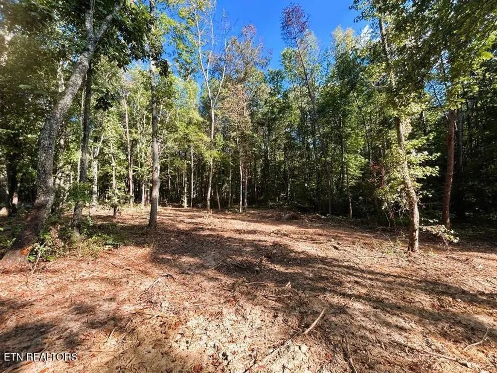 Tract 4 Pleasant Hill Rd, Ten Mile