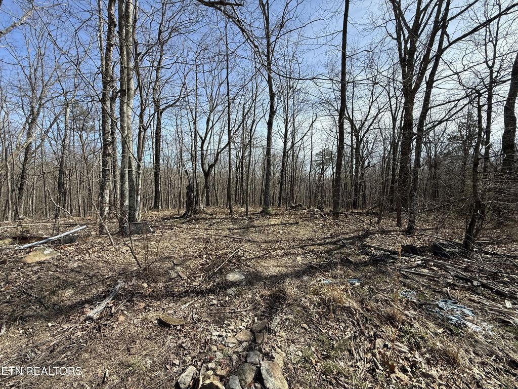 Lot 69 W Log Rd, Spring City