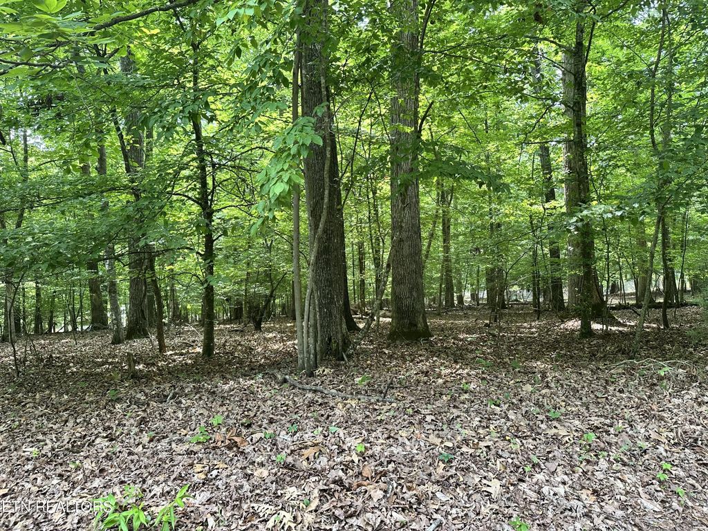 Woods Ridge Rd, Dandridge
