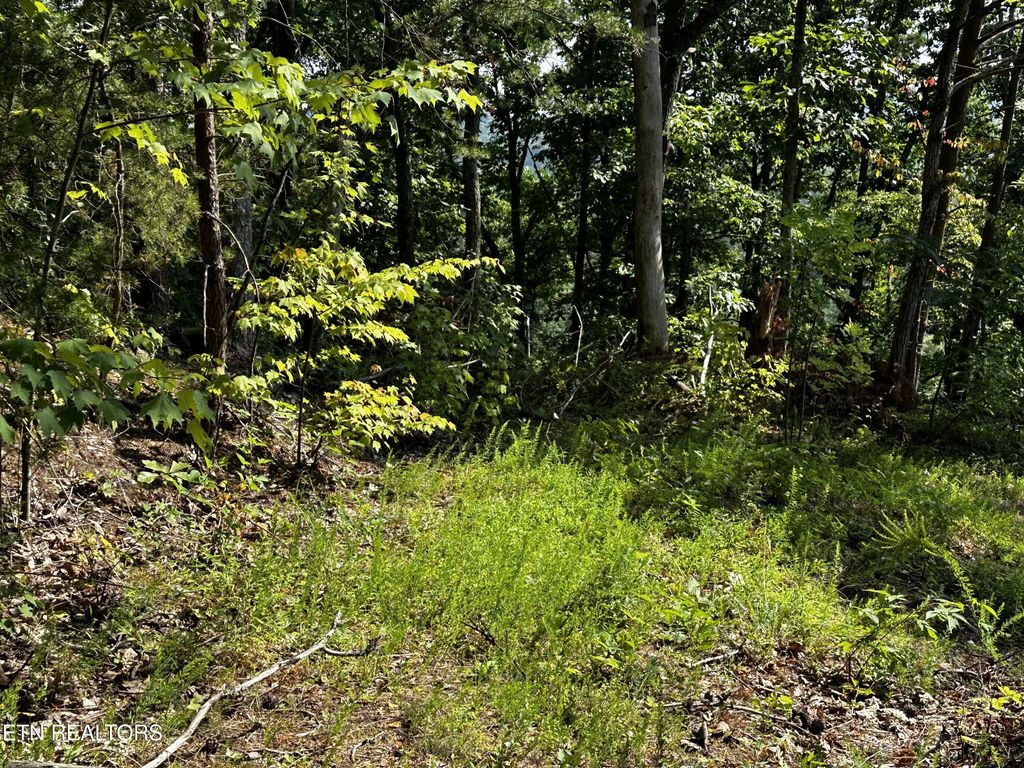 Huckleberry Way, Sevierville