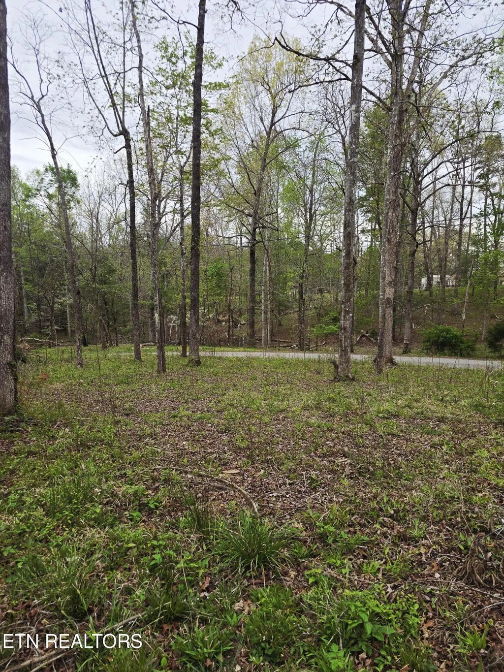 Scott-fentress Co. Line, Allardt
