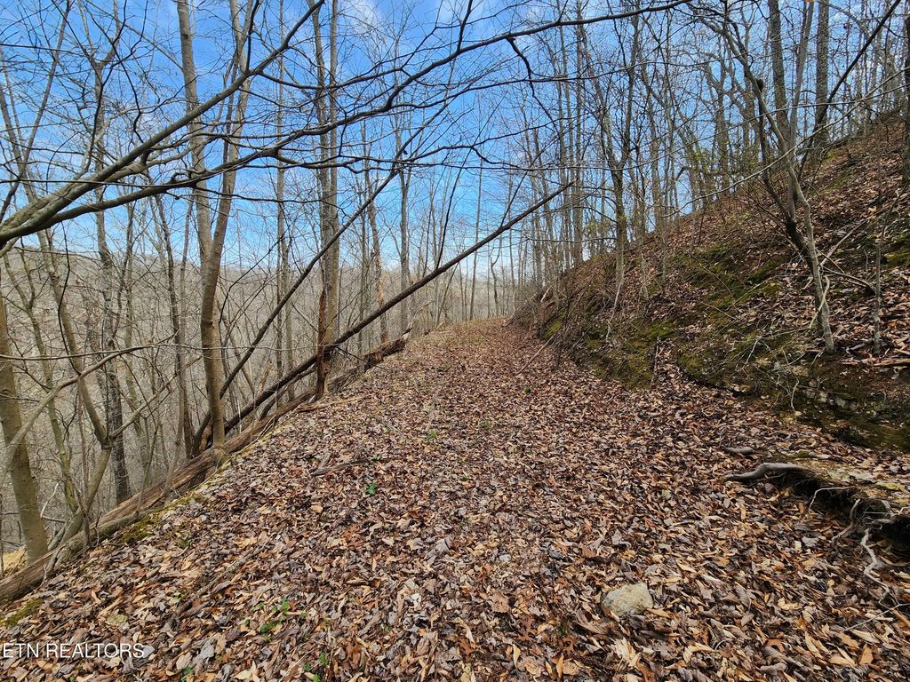 Alpine Drive, Smithville