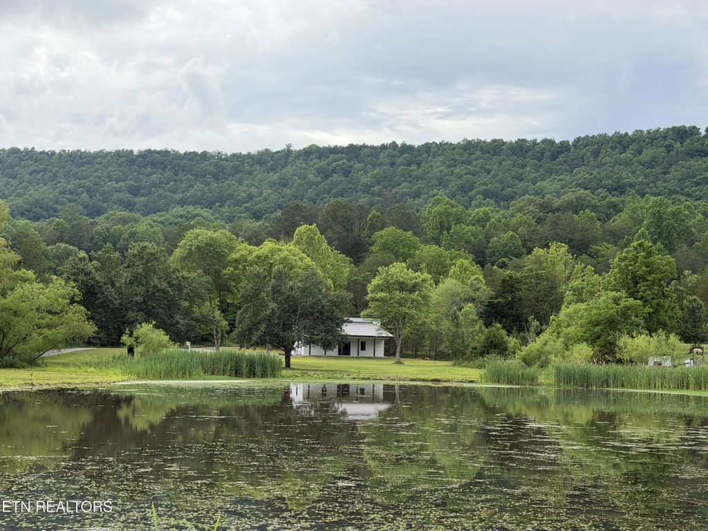 1483 Reagan Valley Rd, Tellico Plains