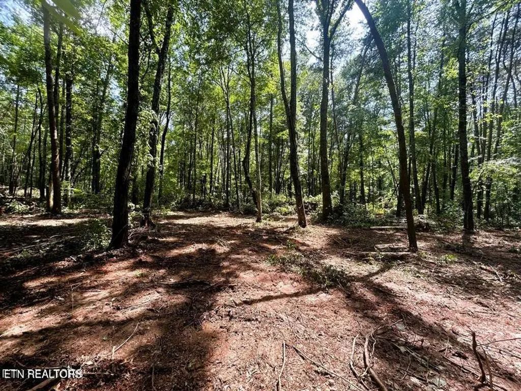 Tract 5 Pleasant Hill Rd, Ten Mile