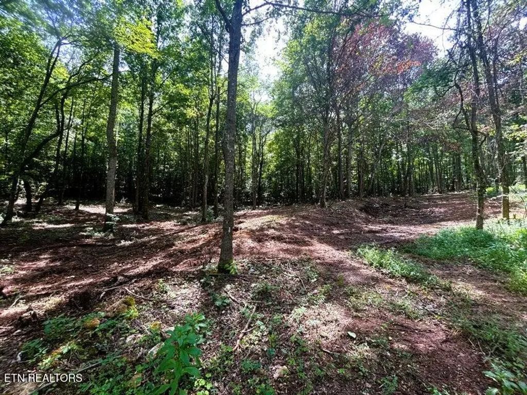 Tract 8 Pleasant Hill Rd, Ten Mile