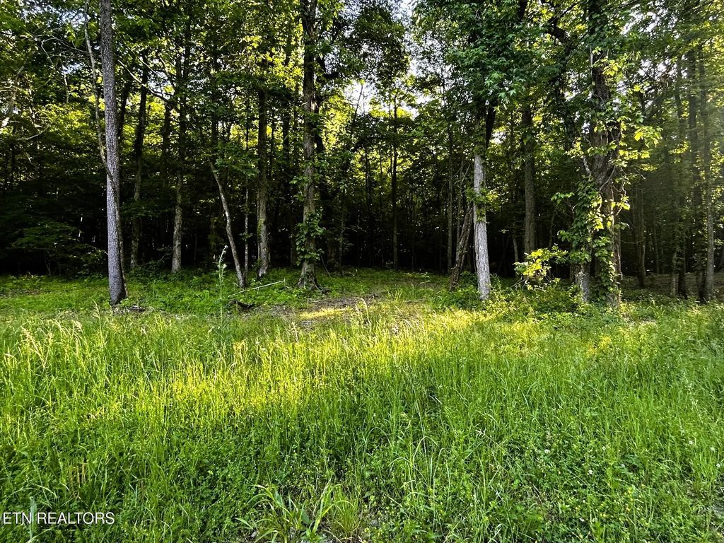 Tract 9 Pleasant Hill Rd, Ten Mile