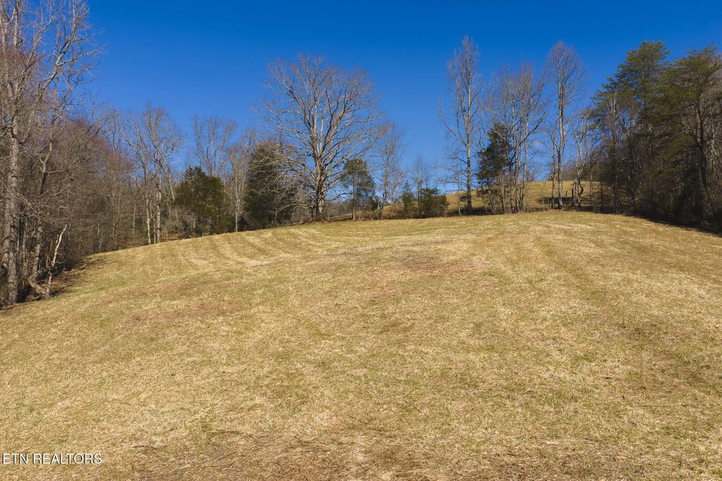 100 Acres Sutton Hollow Rd, Sneedville