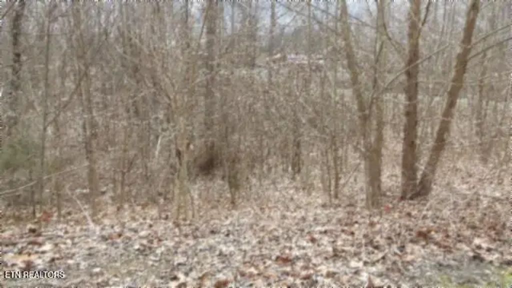 5.51ac Beaver Lane, Gainesboro