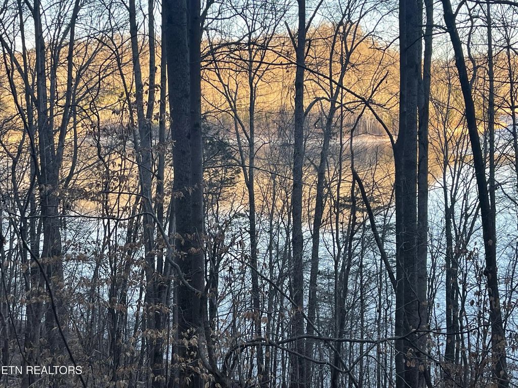 Back Bone Rd, Sparta
