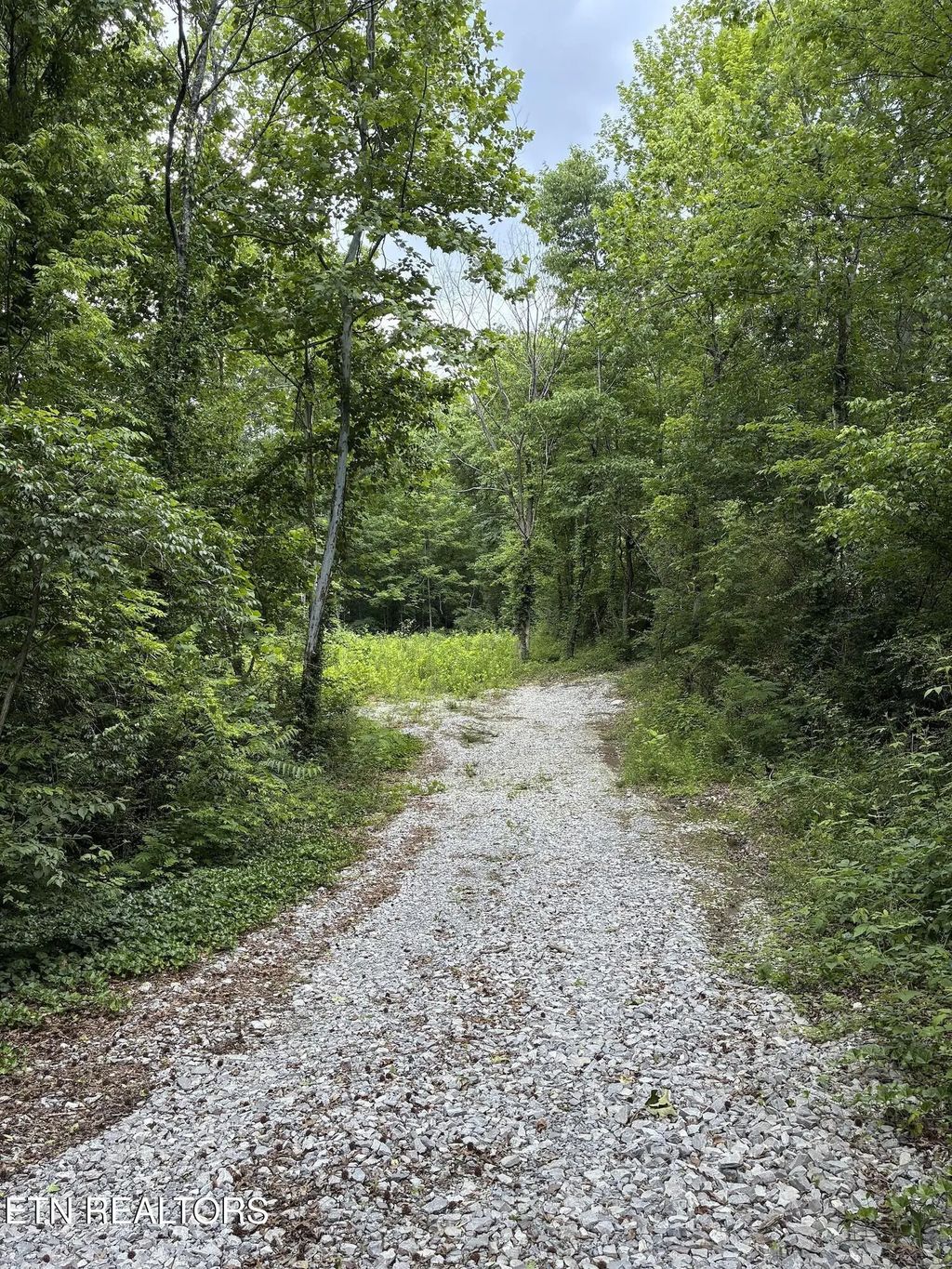 2147 Belt Rd, Knoxville