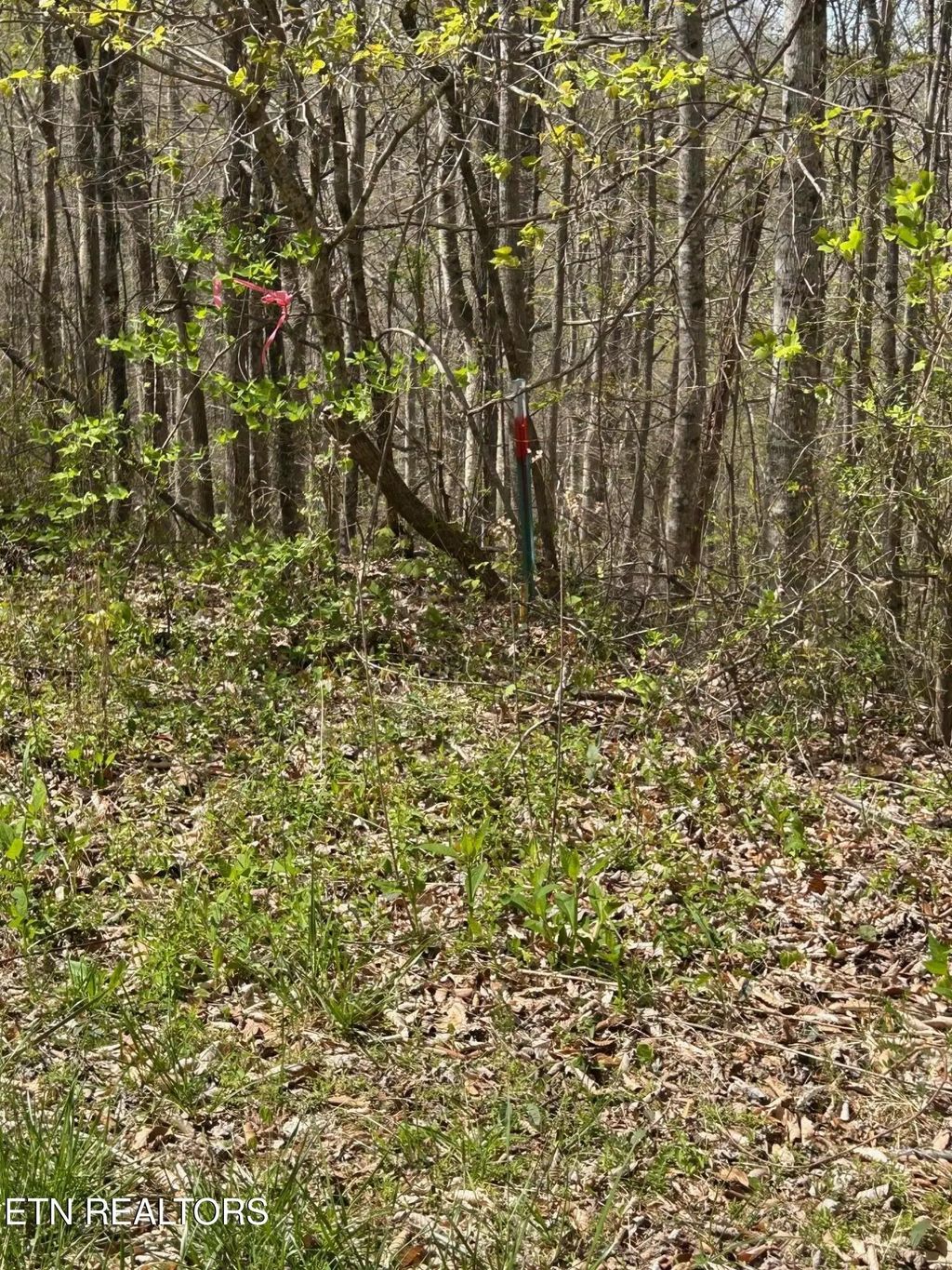 Lot 28 Jones Ridge Rd, Speedwell