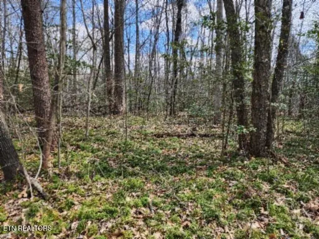 10.79ac S/o Buffalo Rd Rd, Oneida