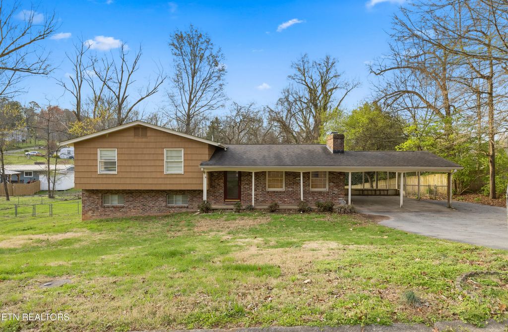 1112 Buckthorn Drive, Knoxville