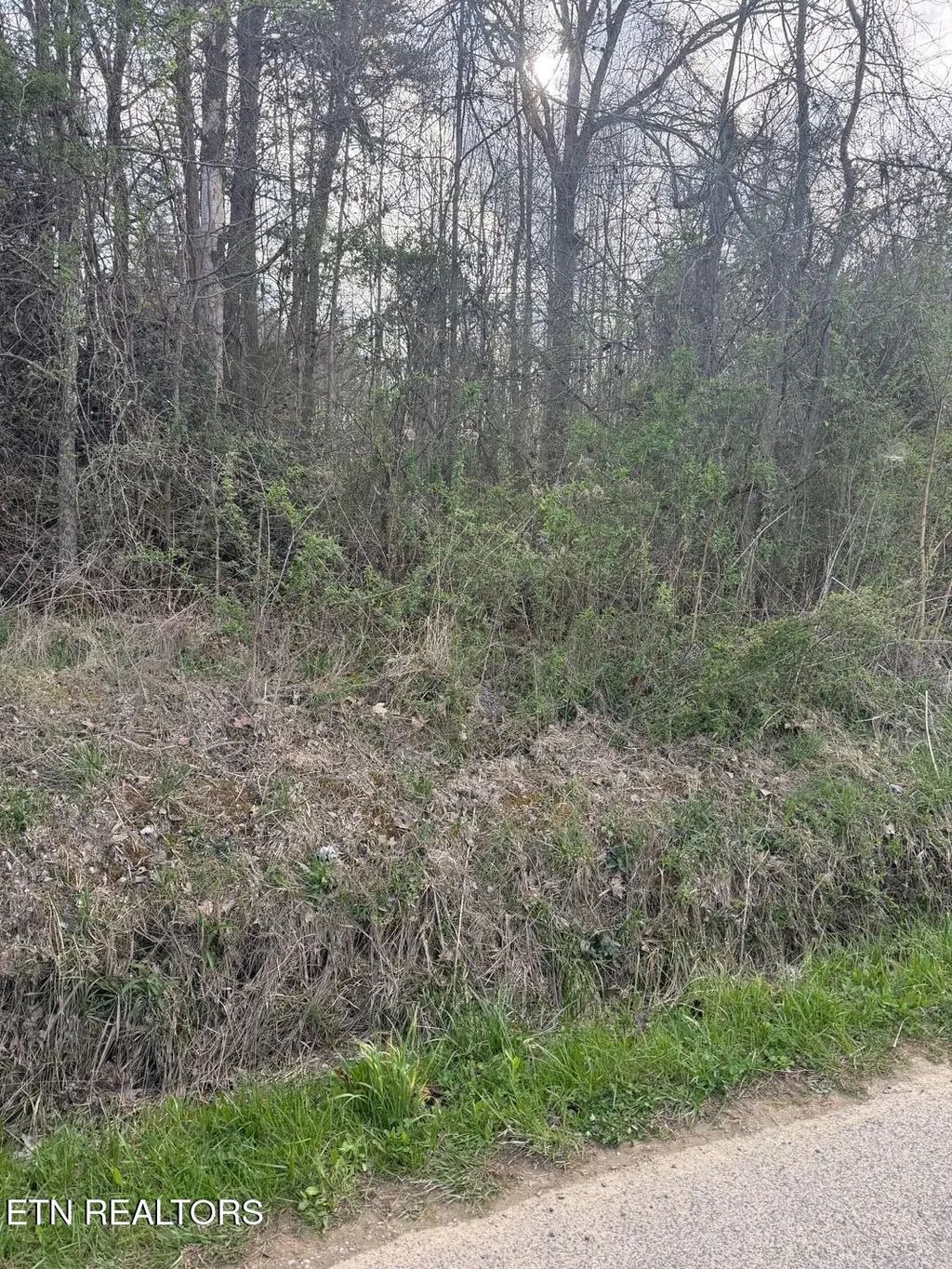 Griffith Rd, Pikeville