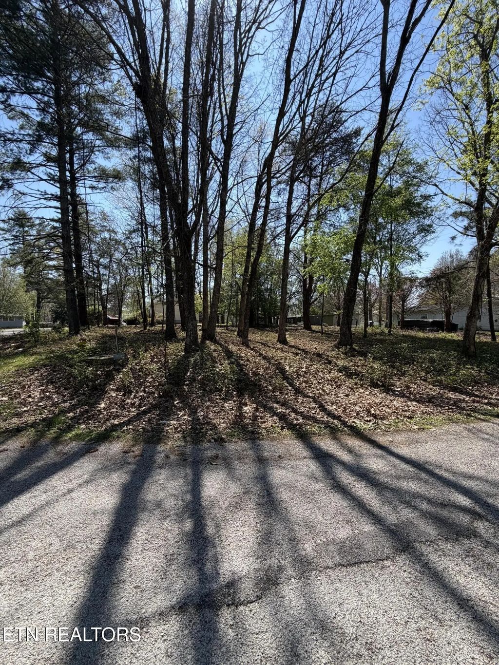 319 Dartmoor Drive, Crossville