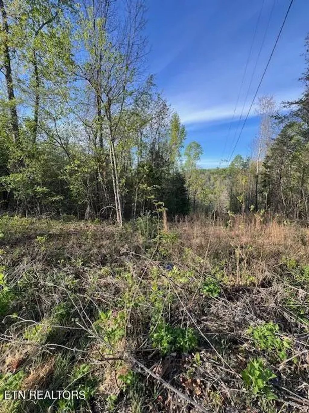 Pine Hollow Rd, Jacksboro