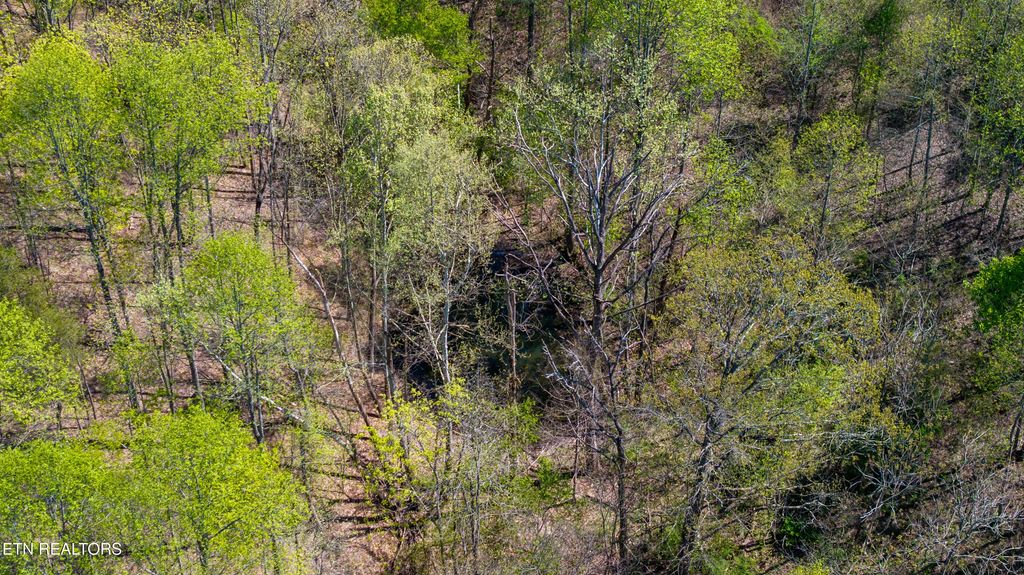 Dodson Branch Hwy, Cookeville