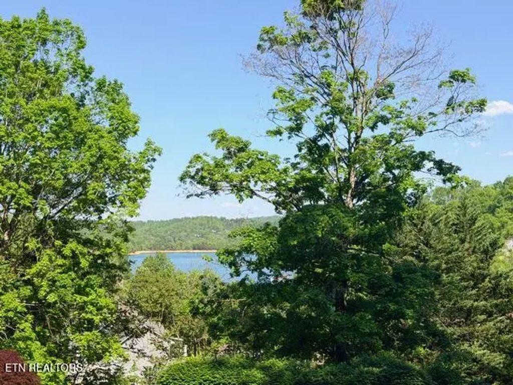 Shanghai Lake Lane, LaFollette