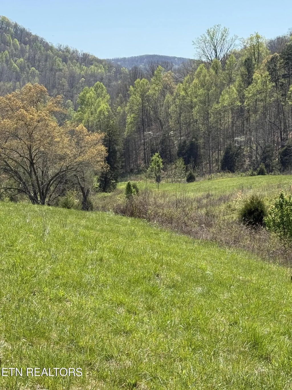 Goshen Valley (64 Acres) Rd, Church Hill