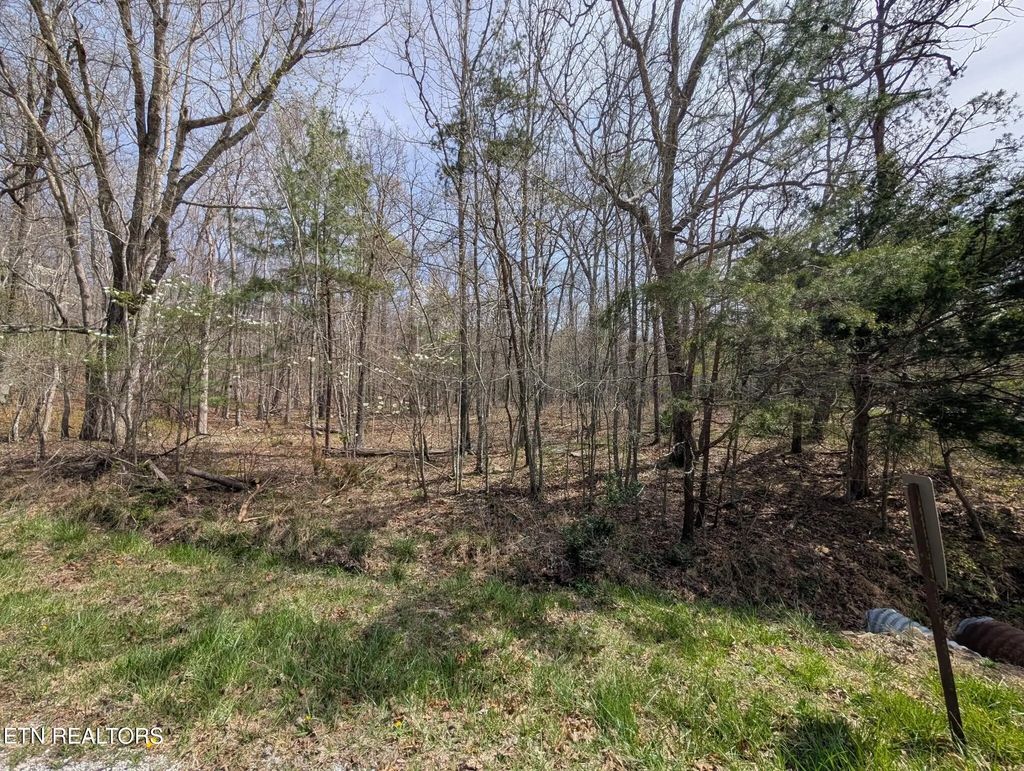 146 Darwin Lane, Crossville