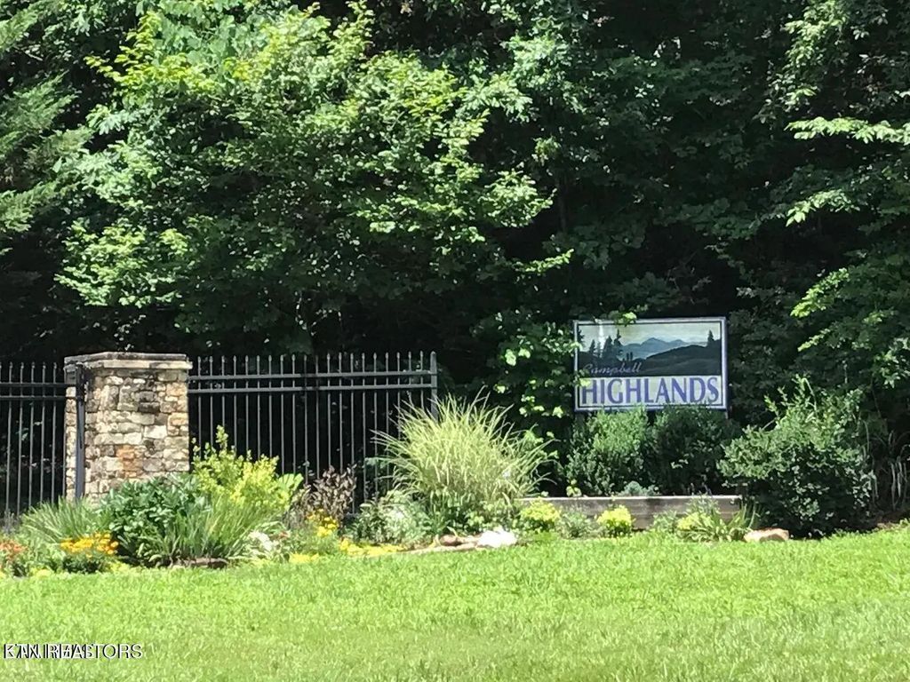 Racoon Lane 79, Pioneer