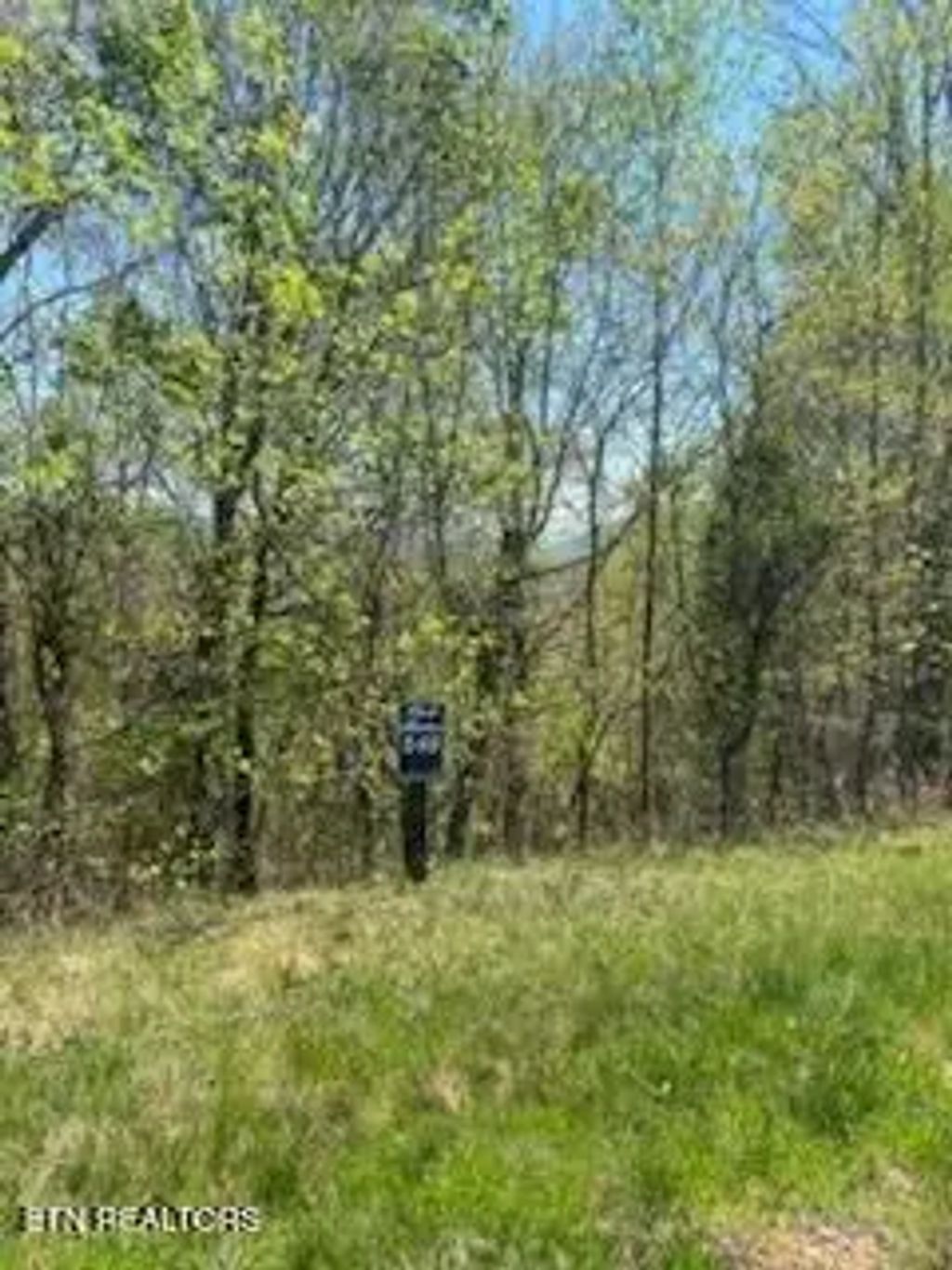 Lot 548 Marble Point Way, New Tazewell