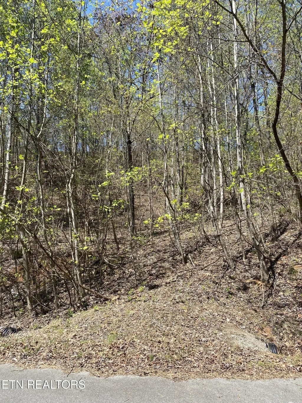 Lot 549 Garnet Tr, New Tazewell