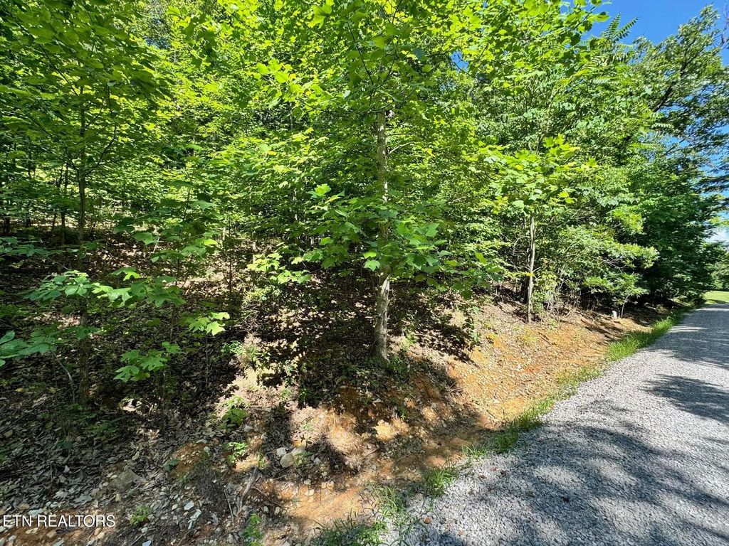 626 N Pointe Tr, Allons
