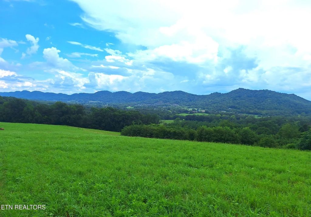 305 Race Track Rd, Rogersville
