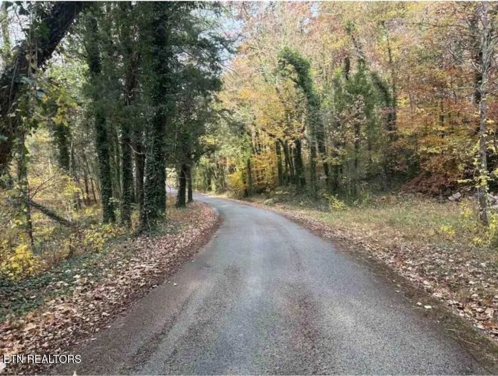 124 Rosenbalm Rd, Heiskell