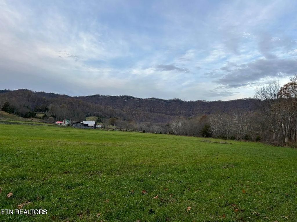 Old Friendship, Jonesville