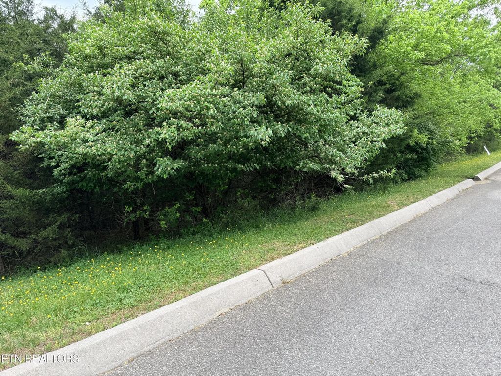 Wedge Way Lot 206, Tazewell