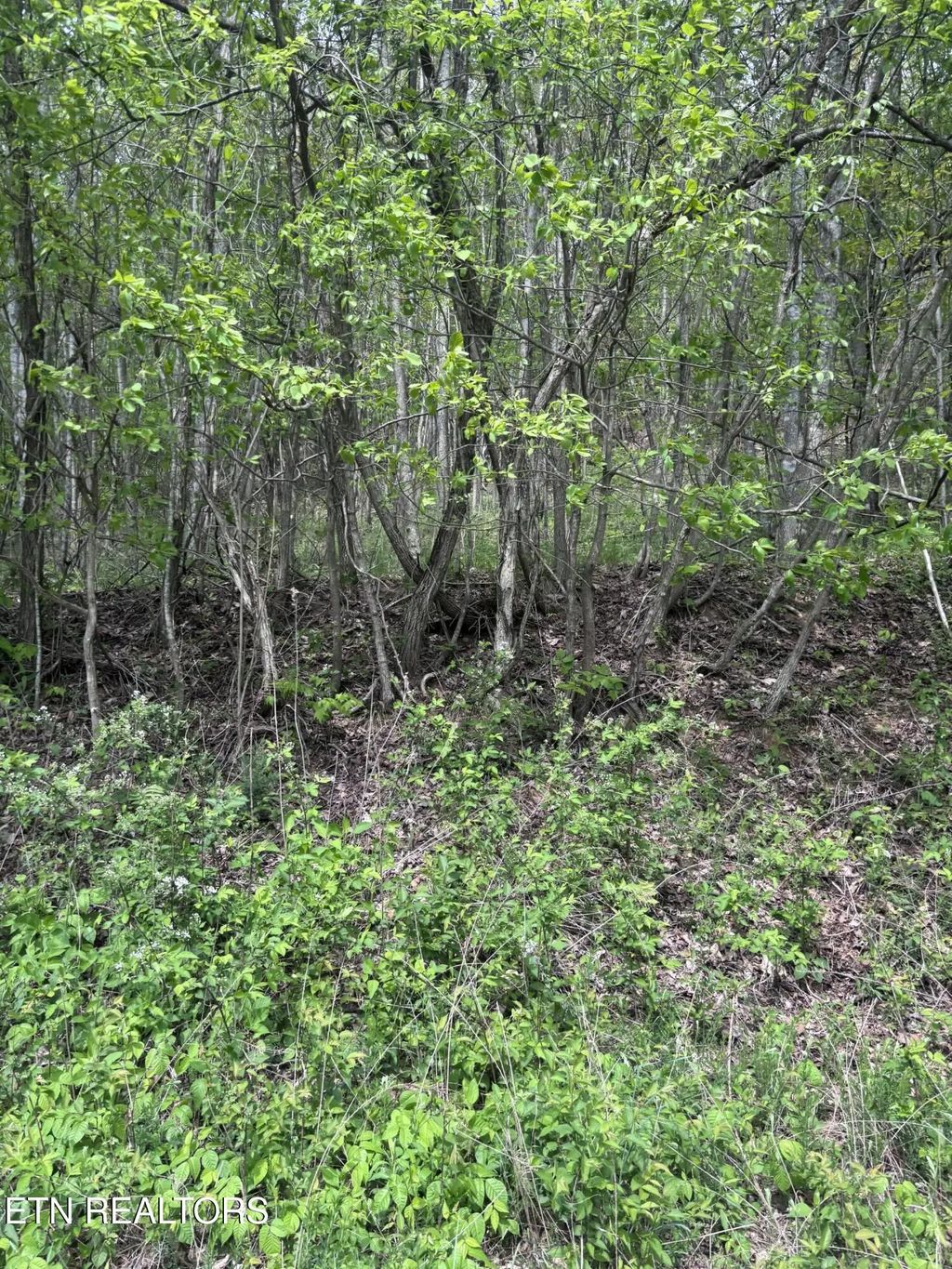 Chimney Rock Rd, New Tazewell