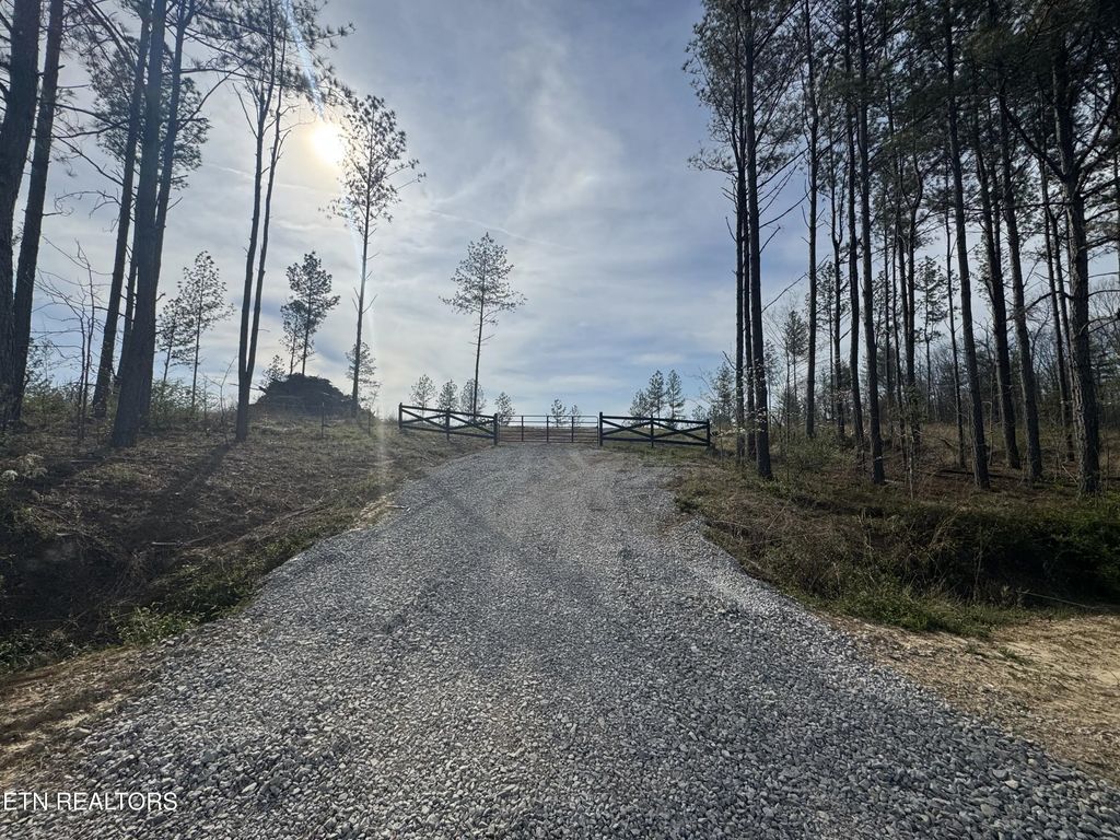 Lot #1 Burrville Rd, Sunbright