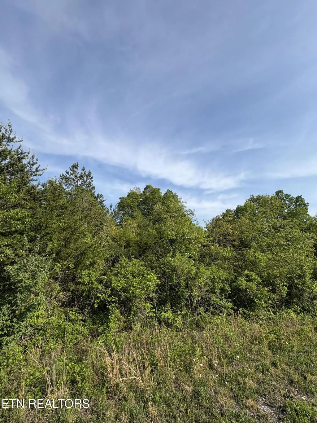 Lot 60 Saddleridge Drive, Speedwell