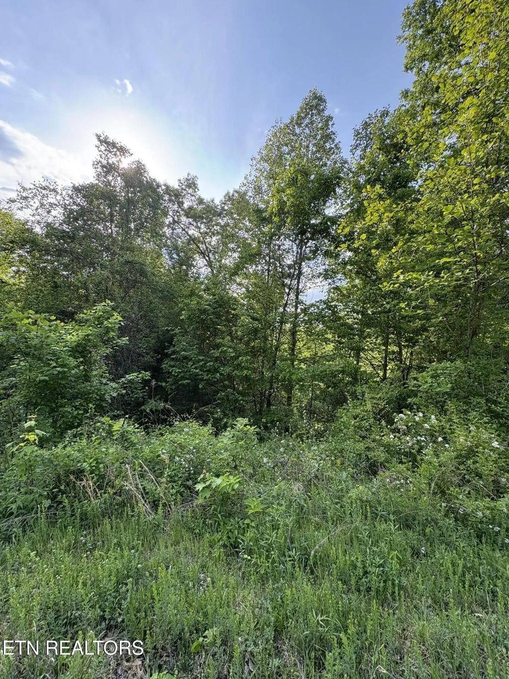 Lot 29 Saddleridge Drive, Speedwell