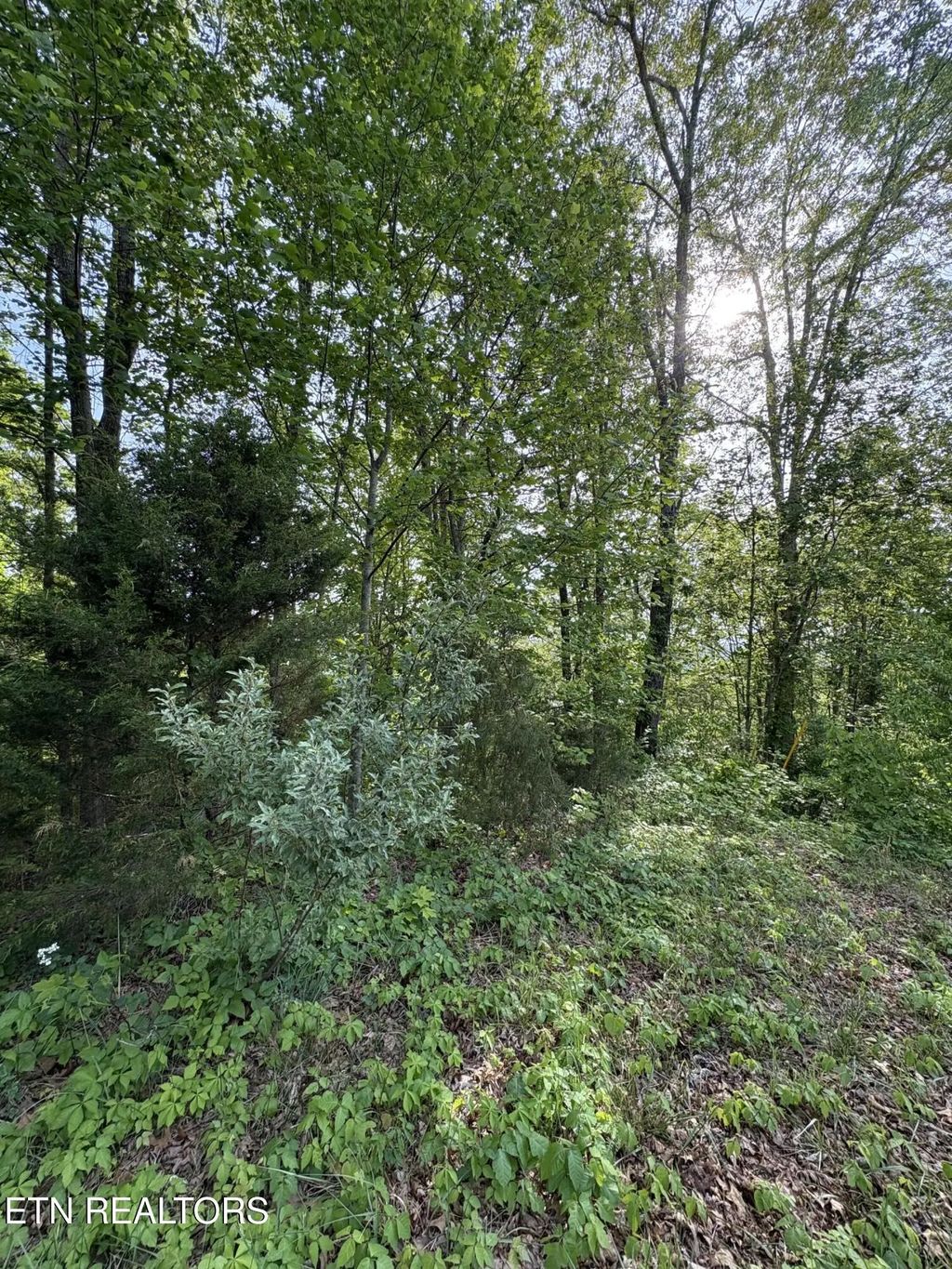 Lot 169 Saddleridge Drive, Speedwell
