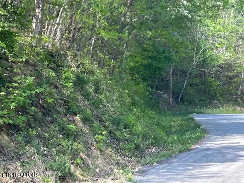 Lot 537 Whistle Valley Rd, New Tazewell