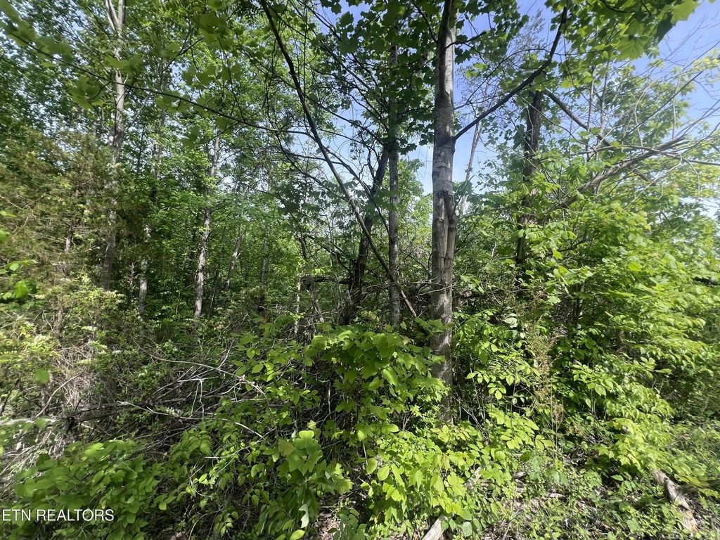 Big Hollow Rd, Monroe