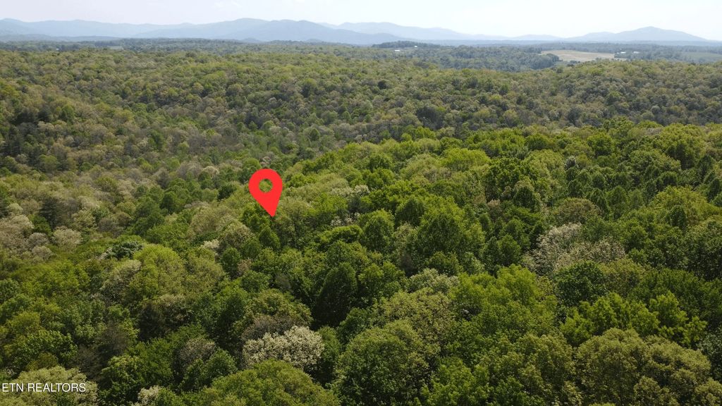 391 Ridge Rd, Lancing