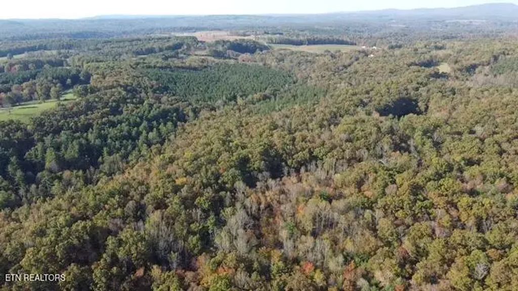 50+- Acres Dogwood Rd, Grandview