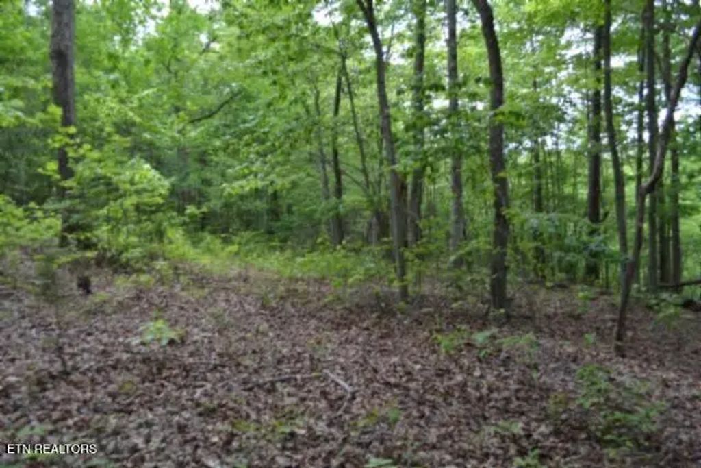 Lot 6 Forest Trails Lane, Celina