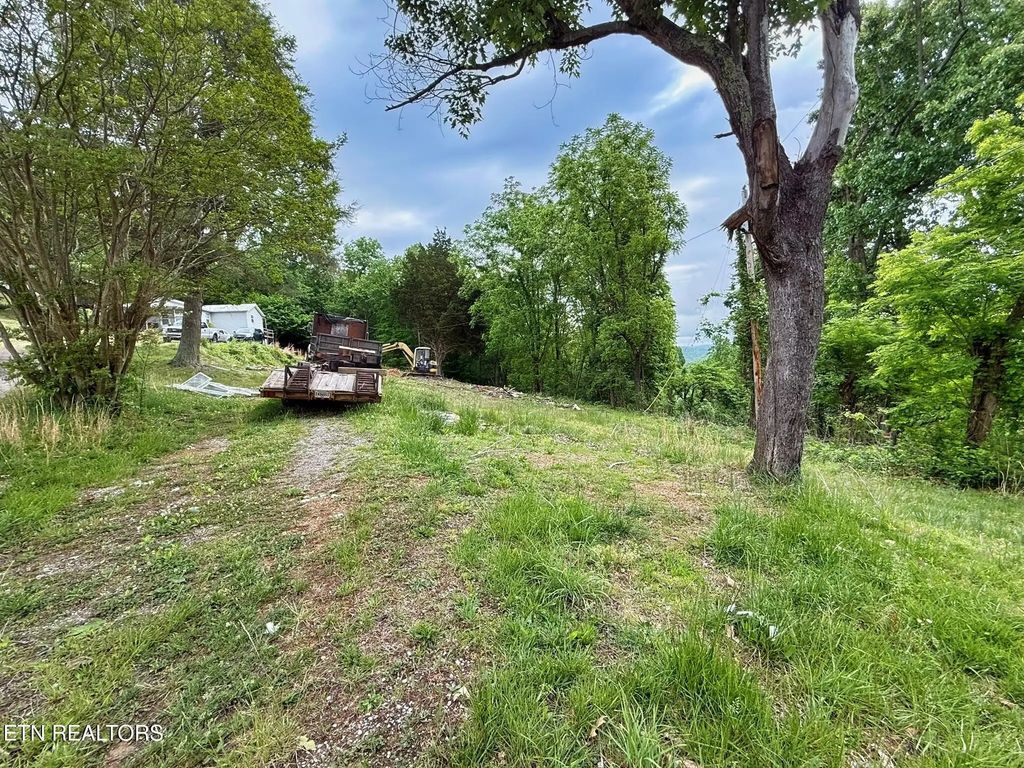 1333 Pinecrest Rd, Jacksboro