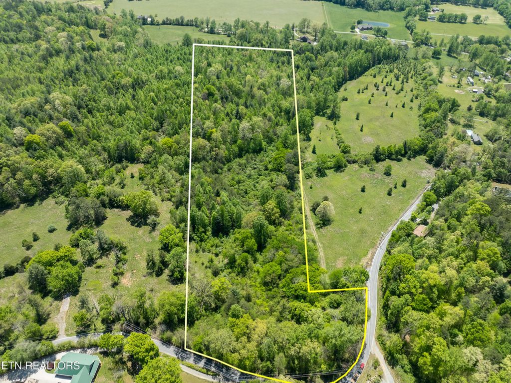 444 E Millers Cove Rd, Walland