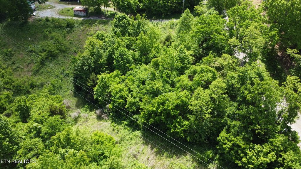 801 Old Highway 25e, Thorn Hill